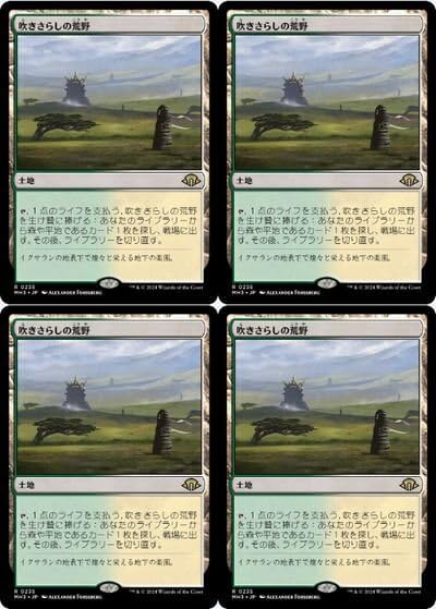 mtg 吹きさらしの荒野　ボーダーレス　日本語　４枚　モダンホライゾン3 235)《吹きさらしの荒野/Windswept Heath》[MH3] 土地R | 日本